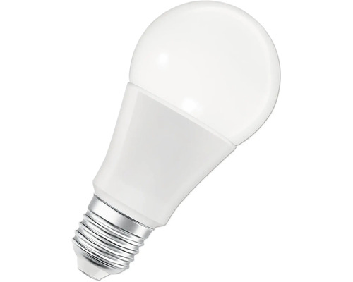 LED-Lampe mit Schraubsockel