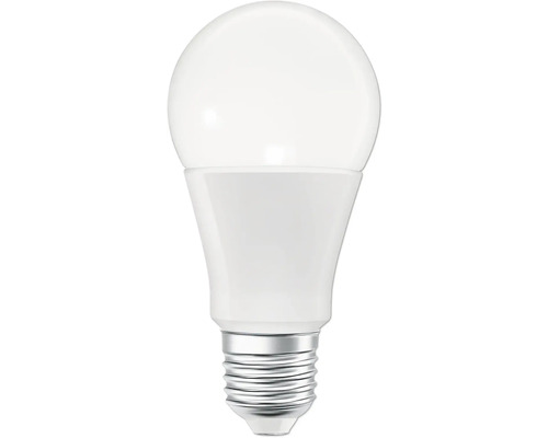 LED Lampe mit Schraubsockel