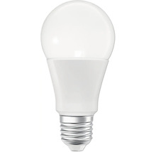 LED-Lampe mit Schraubsockel
