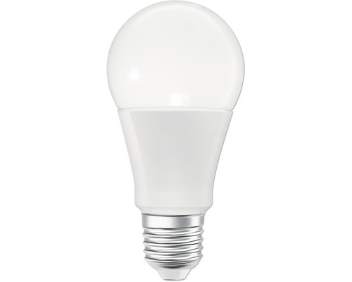 LED-Lampe mit Schraubsockel