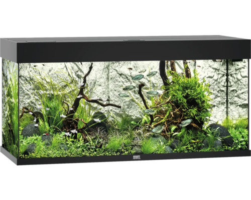 Aquarium JUWEL Rio 180 mit LED-Beleuchtung, Pumpe, Filter, Heizer ohne Unterschrank schwarz