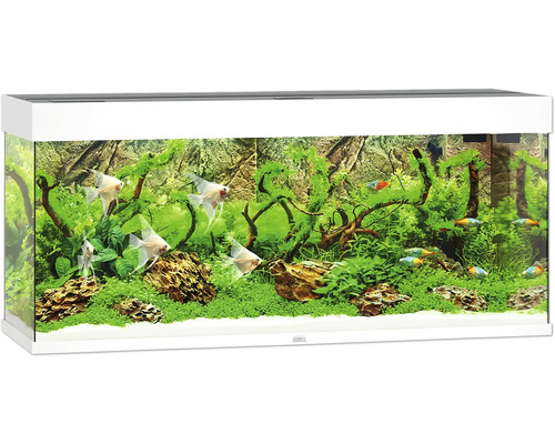 Aquarium JUWEL Rio 240 mit LED-Beleuchtung, Pumpe, Filter, Heizer ohne Unterschrank weiß