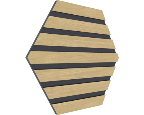 Sechseckiges Akustikpaneel mit Holzleisten