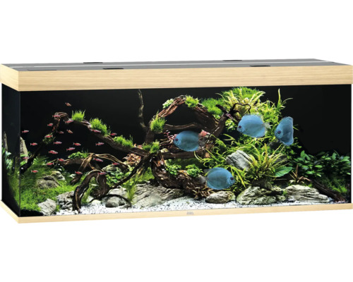 Aquarium JUWEL Rio 450 mit LED-Beleuchtung, Pumpe, Filter, Heizer ohne Unterschrank helles Holz