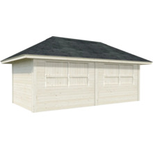 Abri de jardin en bois avec fenêtre fermée et toit en bitume