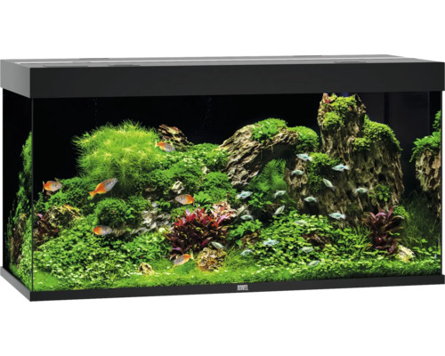 Aquarium JUWEL Rio 350 mit LED-Beleuchtung, Pumpe, Filter, Heizer ohne Unterschrank schwarz