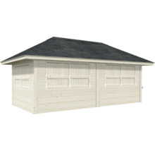 Abri de jardin en bois avec toit bitumé