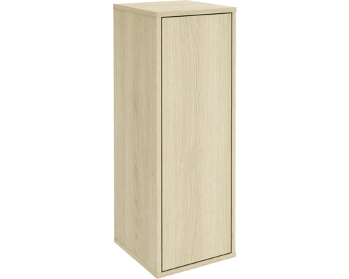 Armoire midi FACKELMANN Compact Line lxhxp 302 x 842 mm x 320 mm couleur de façade chêne lindberg Armoire haute avec une porte