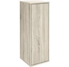 Badezimmerschrank aus Holz mit einer Tür