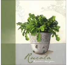 Gemälde von Rucola in einem verzierten Topf