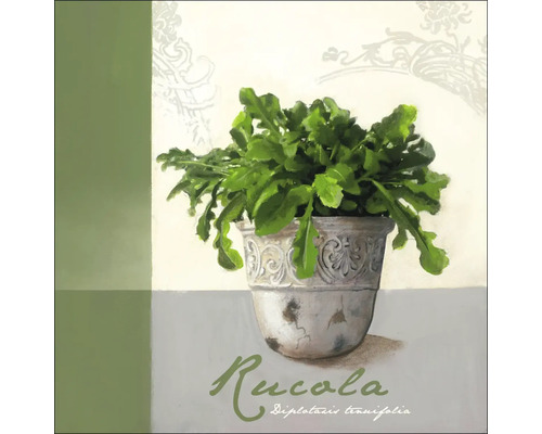 Gemälde von Rucola in einem verzierten Topf