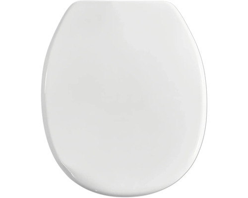Toilettendeckel aus Kunststoff
