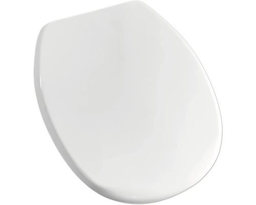 Toilettendeckel aus Sanitärkeramik