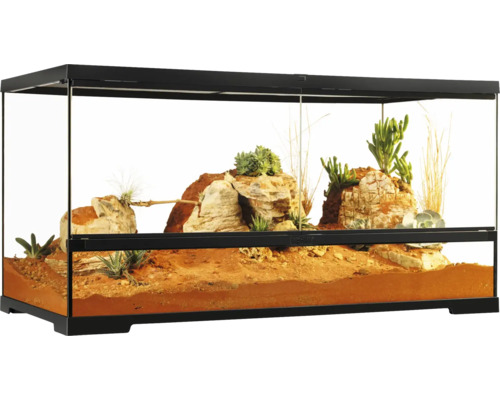 Terrarium aménagé avec paysage désertique