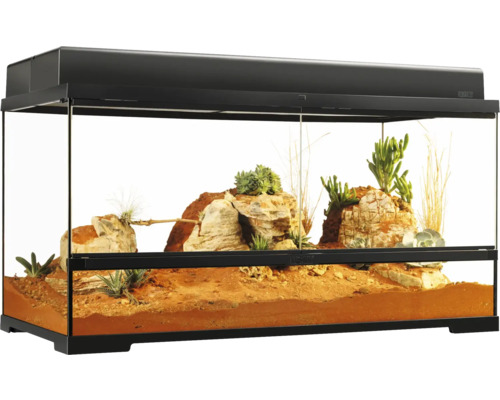 Terrarium aménagé avec pierres et plantes