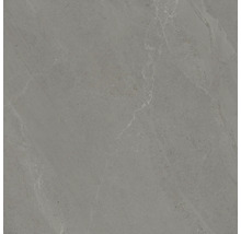 Carreau en grès cérame gris aspect pierre
