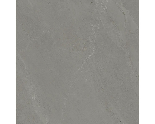 Graue Feinsteinzeugfliese mit Steinoptik