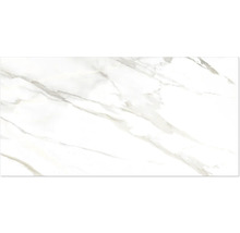 Feinsteinzeug Wand- und Bodenfliese Wandfliese CAVE grey matt 60,5 cm x 121 cm x 0,9 cm rektifiziert