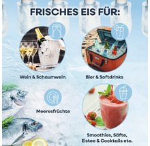 Frisches Eis für Wein, Sekt, Bier, Softdrinks, Meeresfrüchte, Smoothies, Säfte, Eistee und Cocktails