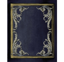 Cadre de miroir orné avec des ornements floraux