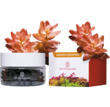 The 2HR Aquarist Growth Booster avec plantes aquatiques