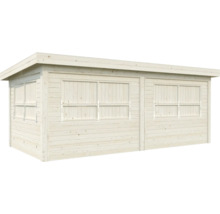 Abri de jardin avec fenêtres