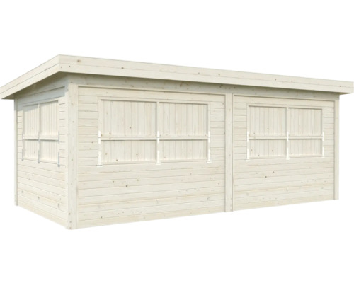 Abri de jardin avec fenêtres
