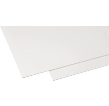 Plaque en mousse Hobbycolor blanc 500 x 1000 x 3 mm