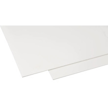 Hartschaumplatte Hobbycolor weiß 500 x 1250 x 3 mm