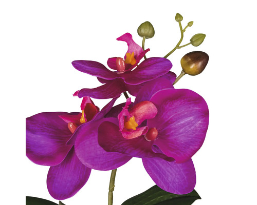 Künstliche Orchidee mit Blüten und Knospen