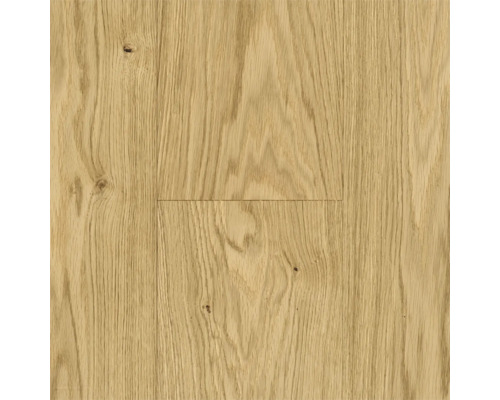 Échantillon de parquet en bois véritable Parador chêne Valis structure fine grosses lames plancher maison de campagne 2380 x 233 x 13 mm Gros plan sur parquet en chêne