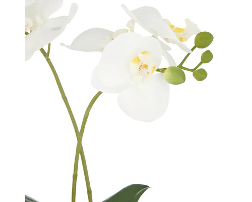 Künstliche Orchidee mit weißen Blüten