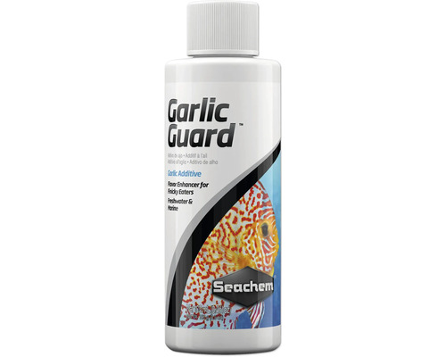 Futterzusatz Seachem GarlicGuard 100 ml fördert den Appetit, enthält Vitamin C Seachem Garlic Guard Fischfutterergänzung in einer 100-Milliliter-Flasche