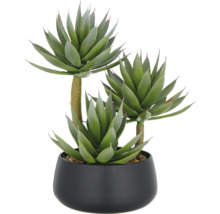 Agave artificielle dans un pot noir comme décoration intérieure