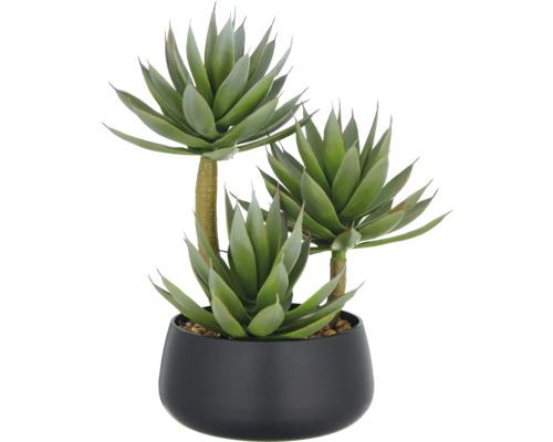 Agave artificielle dans un pot noir comme décoration intérieure
