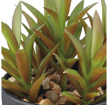 Künstliche Sukkulente im Topf mit Steinen