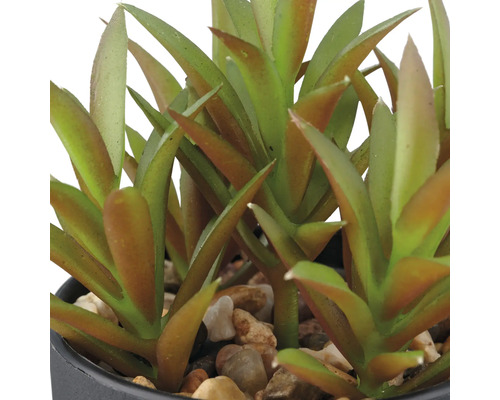 Künstliche Sukkulente im Topf mit Steinen