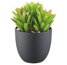 Künstliche Sukkulente in einem Topf