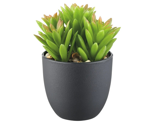 Künstliche Sukkulente in einem Topf