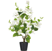 Künstliche Bougainvillea im Topf mit weißen Blüten und grünen Blättern.