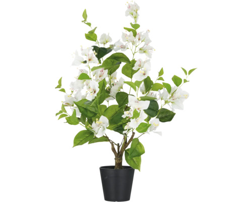 Künstliche Bougainvillea im Topf mit weißen Blüten und grünen Blättern.