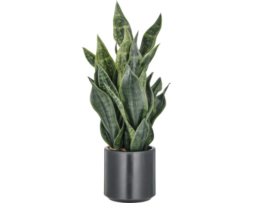 Plante artificielle Sansevieria laurentii h 66 cm Sansevieria en pot