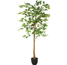 Künstlicher Ficusbaum im Topf