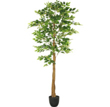 Künstlicher Ficus im Topf als Dekoration