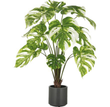 Künstliche Monstera Pflanze im Topf für die Dekoration