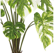 Künstliche Monstera Pflanze mit grünen Blättern