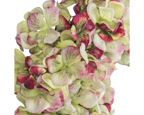 Nahaufnahme von Kunsthortensienblüten