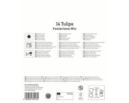 Informations sur 14 Tulipa Fosteriana Mix: Emplacement ensoleillé, convient pour les pots, les contenants et les caisses, convient comme fleurs coupées, propagé à partir de matériel culturel