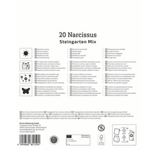 Verpackung für 20 Narzissen Steingarten Mix mit Informationen zu Standort, Verwendung, Eigenschaften und Herkunft