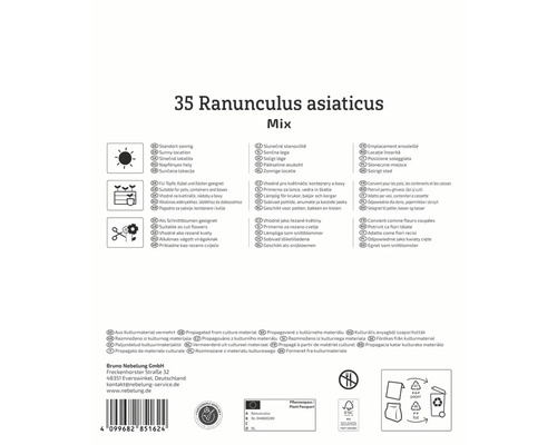 Informationen zu Ranunculus asiaticus Mix, einschließlich Standort, Verwendung und Vermehrung